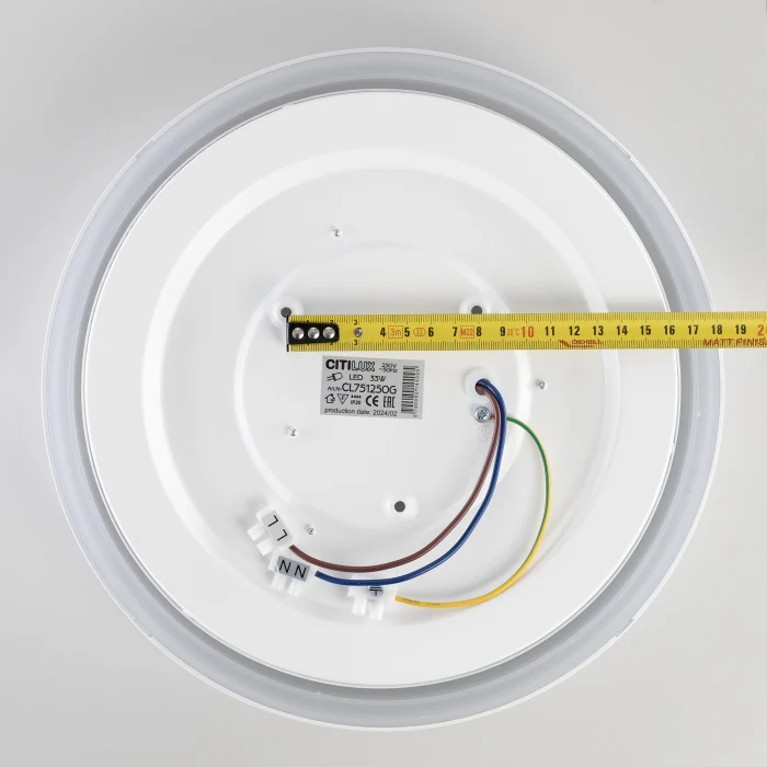 Светильник потолочный Citilux BOSS CL751250G