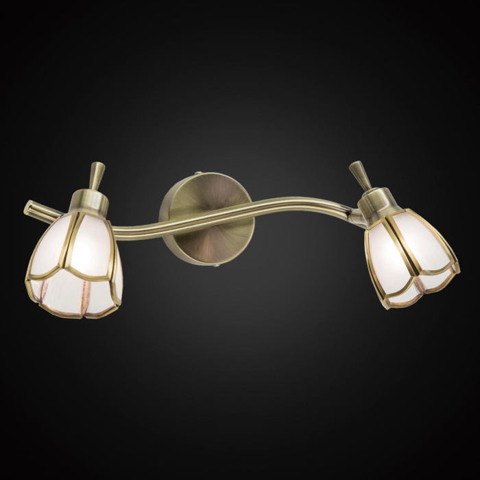 Спот поворотный Citilux CL522521