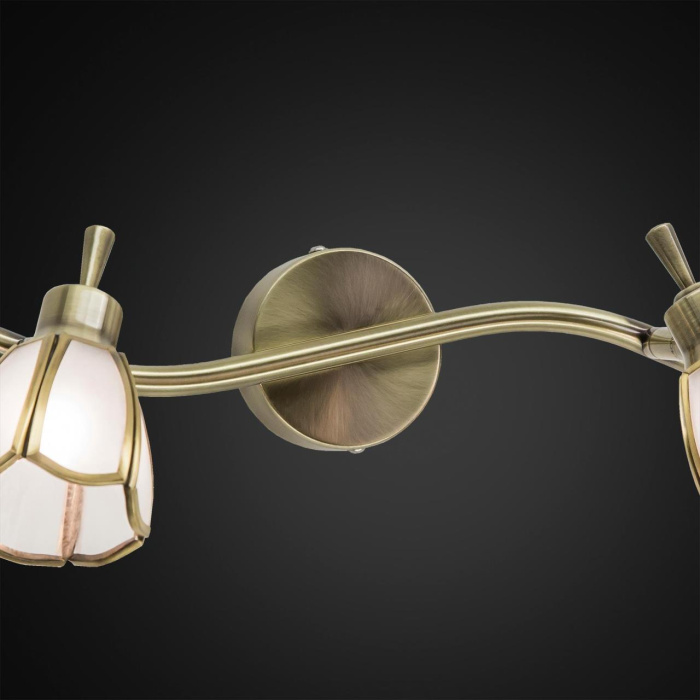 Спот поворотный Citilux CL522521