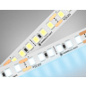 Светодиодная лента Ambrella Light GS1313 2835 180Led /14.4W m/12V IP20 6500K 5m/кратность резки 33mm AMBRELLA light GS1313