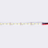 Светодиодная лента Ambrella Light GS1313 2835 180Led /14.4W m/12V IP20 6500K 5m/кратность резки 33mm AMBRELLA light GS1313