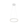 Подвесной светильник Maytoni Rim MOD058PL-L22WK