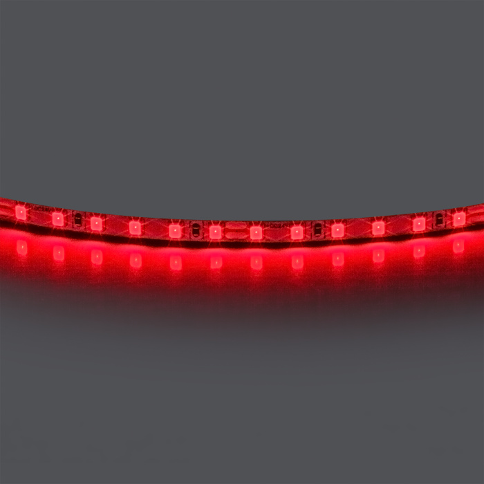 Лента цветного свечения 24V, красный 420511