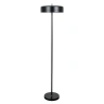 Торшер Arte Lamp SKAT A7052PN-2BK