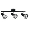 Настенно-потолочный спот в стиле лофт Ambrella light TR8622