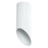 Потолочный светильник Arte Lamp Pilon A1615PL-1WH
