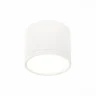 Светильник потолочный ST113.542.09 ST LUCE