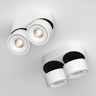 Накладной поворотный светильник Ledron LH8W 2 White