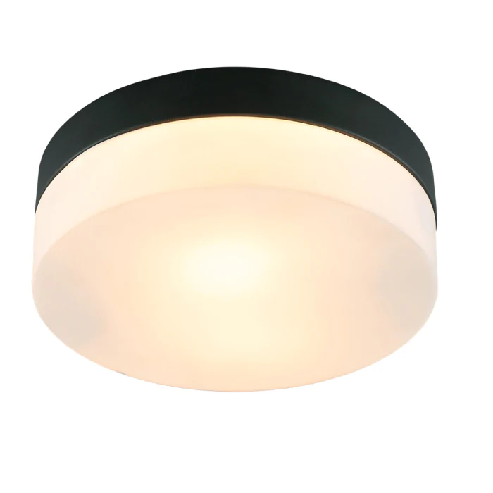 Светильник для ванной комнаты Arte Lamp AQUA-TABLET A6047PL-2BK