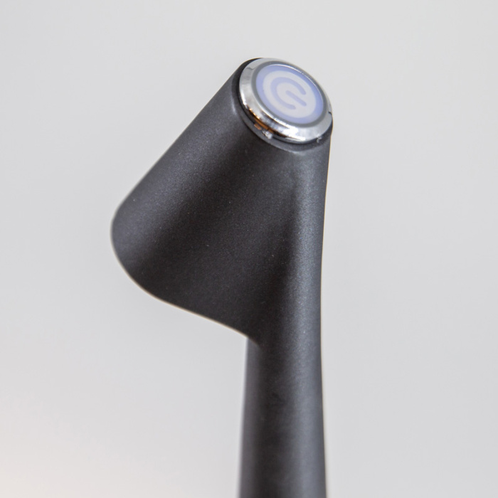 Настольная лампа Africa L’ARTE LUCE LUXURY L69830.09