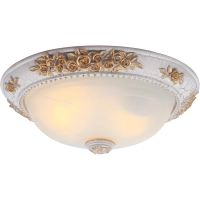 Потолочный светильник Arte Lamp TORTA A7102PL-2WG