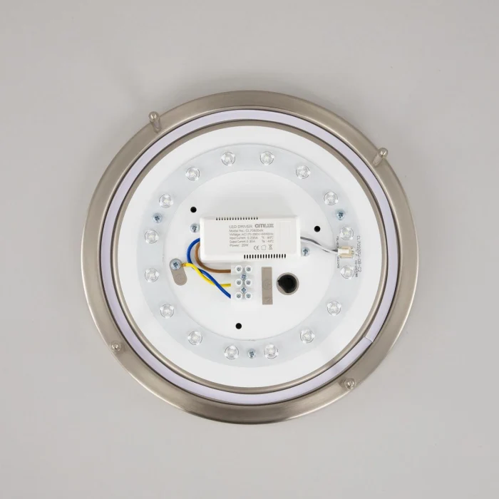 Настенно-потолочный светильник Citilux Бостон CL709201N