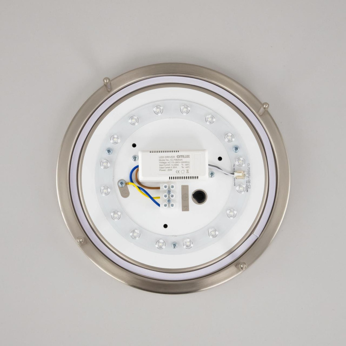 Настенно-потолочный светильник Citilux Бостон CL709201N