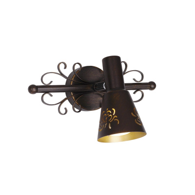 Спот поворотный Citilux Дункан CL529511