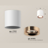 Комплект накладного светильника Ambrella light XS7531025