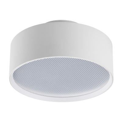 Накладной потолочный светильник Lightstar Acuto 215936