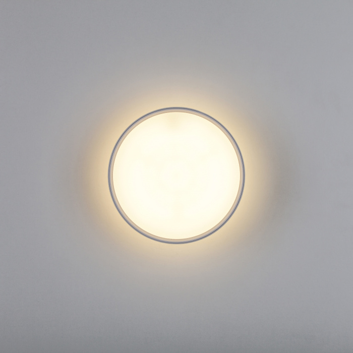 Накладной потолочный светильник Lightstar Acuto 215936