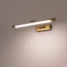 Подсветка для картин Lightstar Noce 201031