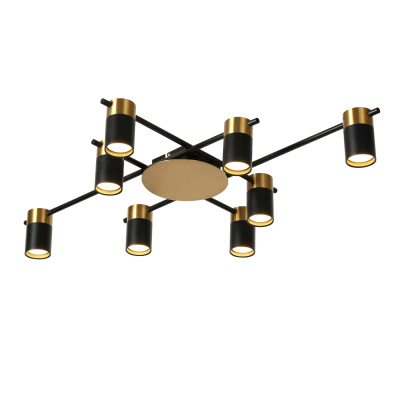 Потолочная люстра Favourite 2825-8P