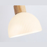 Подвесной светильник со сменной лампой Ambrella light TR83133