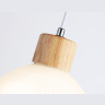 Подвесной светильник со сменной лампой Ambrella light TR83133