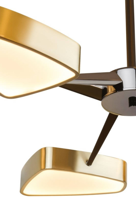 Светодиодная потолочная люстра L'Arte Luce Luxury Espansio L40006