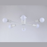 Потолочный светильник в стиле лофт Ambrella light TR80401