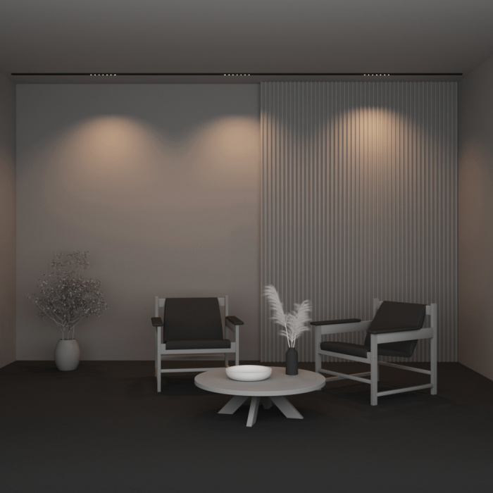 Трековый светильник Maytoni Points TR174-1-12WTW-M-B