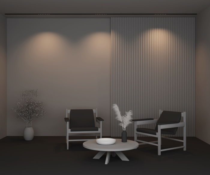 Трековый светильник Maytoni Points TR174-1-12WTW-M-B