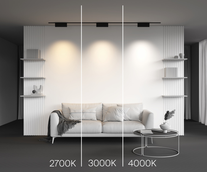 Трековый светильник Maytoni Points Rot TR194-1-12W3K-M-B