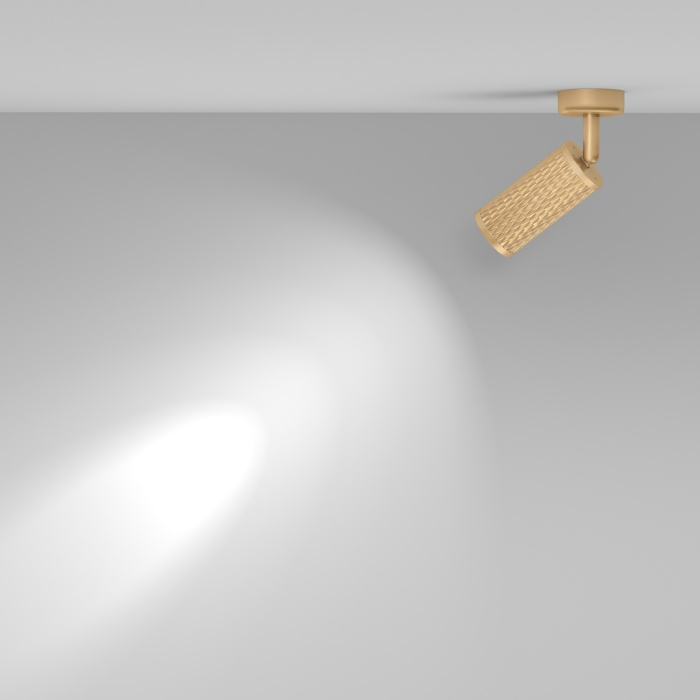 Спот Maytoni Focus Design C034CL-01G