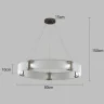 Подвесной светильник Delight Collection Parallel Ring D8028P/R/D800 black/clear