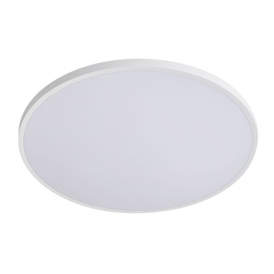 Настенно-потолочный светильник Lightstar Arco Eco 225740