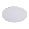 Настенно-потолочный светильник Lightstar Arco Eco 225740