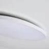 Настенно-потолочный светильник Lightstar Arco Eco 225740