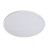 Настенно-потолочный светильник Lightstar Arco Eco 225740