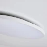 Настенно-потолочный светильник Lightstar Arco Eco 225740