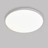 Настенно-потолочный светильник Lightstar Arco Eco 225740