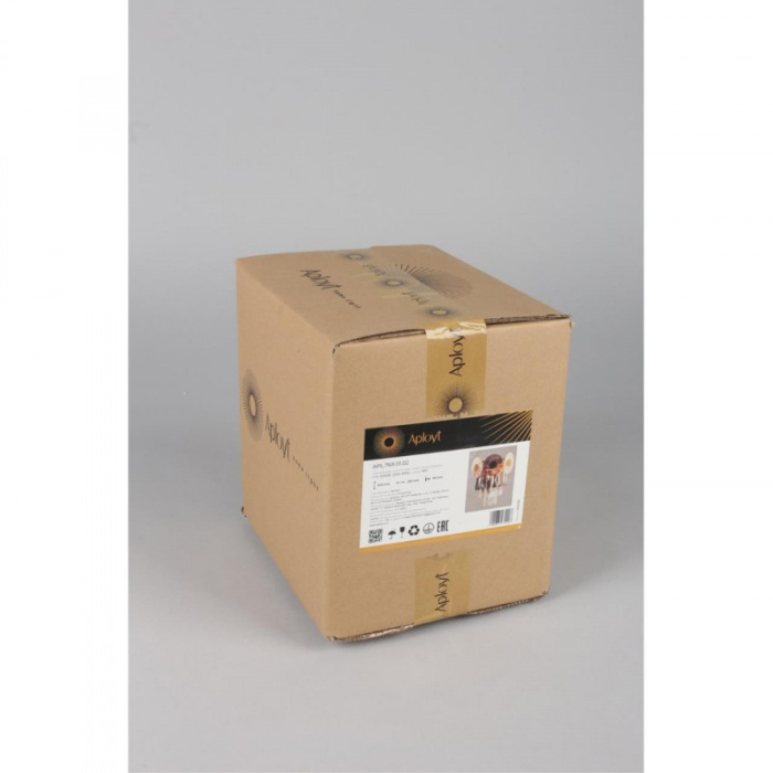 Светильник настенный Aployt Zibille APL.769.01.02