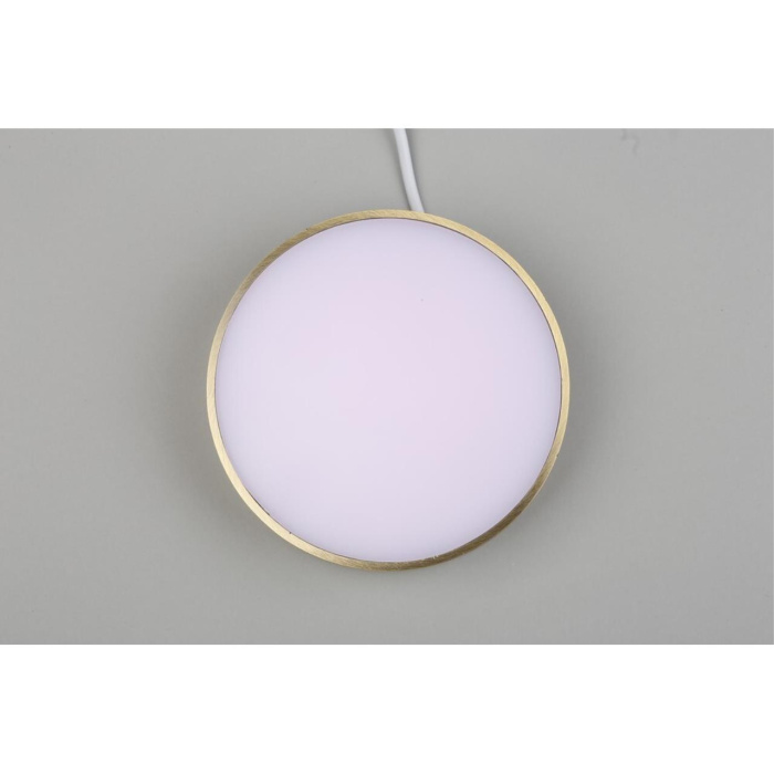 Светильник настенно-потолочный Aployt Evon APL.0114.29.18