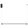 Настенный светильник Odeon Light Fillini 4335/9L