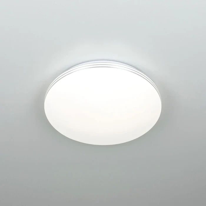 Светильник потолочный Citilux Симпла CL71424SV