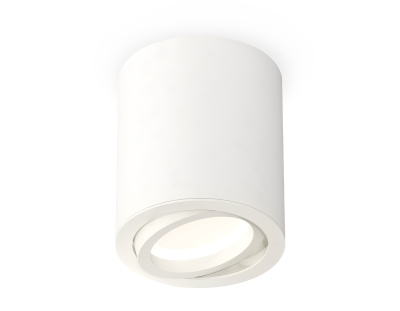 Комплект накладного поворотного светильника Ambrella light XS7421001