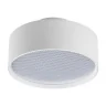 Накладной потолочный светильник Lightstar Acuto 215946