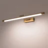 Подсветка для картин Lightstar Noce 201041