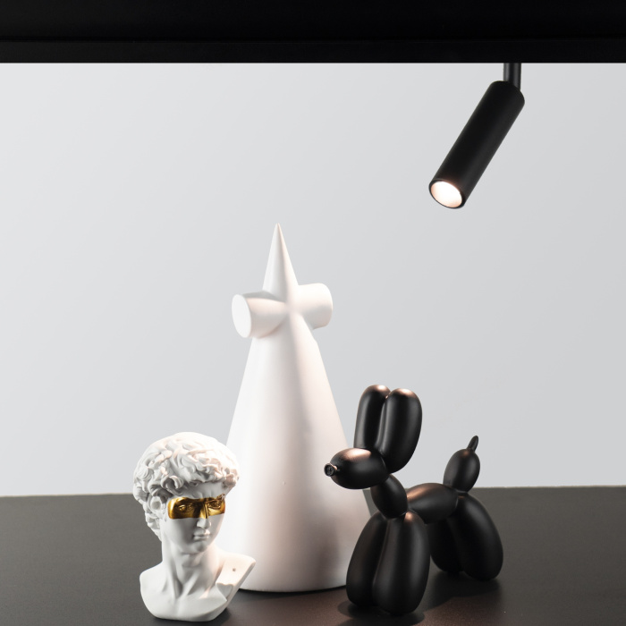 Трековый светильник LOFT IT T015-06