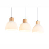 Подвесной светильник со сменной лампой Ambrella light TR83135