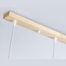 Подвесной светильник со сменной лампой Ambrella light TR83135