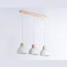 Подвесной светильник со сменной лампой Ambrella light TR83135