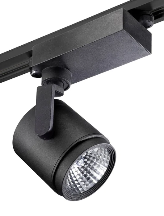Потолочный светильник Leds C4 ACTION PR-0952-60-37